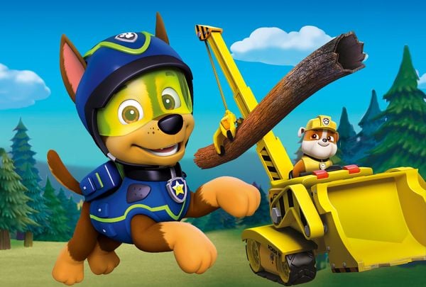 Produktbild: Paw Patrol - Tapfere Helden, große Taten