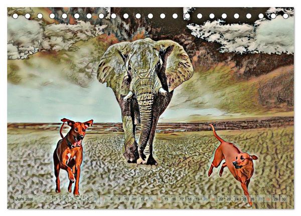Produktbild: Rhodesian Ridgeback der Hund mit dem Tropfen L&ouml;wenblut (Tischkalender 2026 DIN A5 quer), CALVENDO Monatskalender