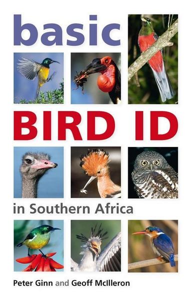Produktbild: Basic Bird ID in Southern Africa