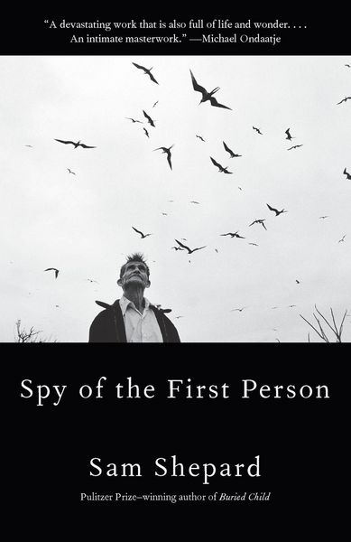 Produktbild: Spy of the First Person
