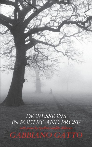 Produktbild: Digressions in Poetry and Prose