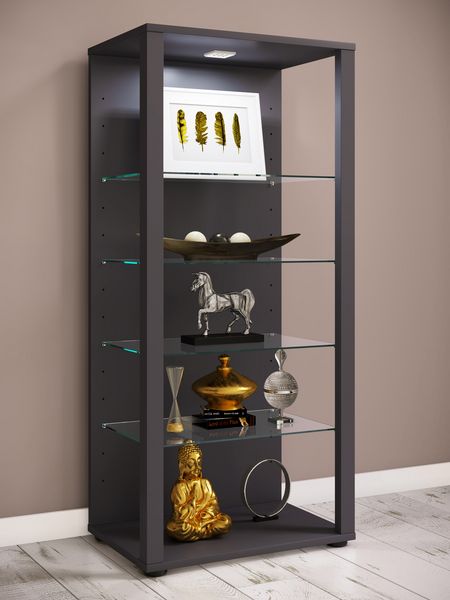 Produktbild: Holz Glas Stand Vitrine Sammelvitrine Glasol lll