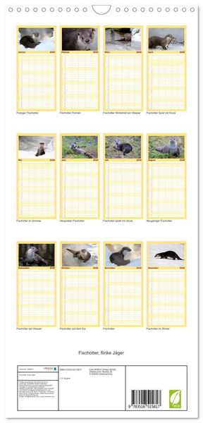 Produktbild: Familienplaner 2026 - Fischotter, flinke J&auml;ger mit 5 Spalten (Wandkalender, 21 x 45 cm) CALVENDO