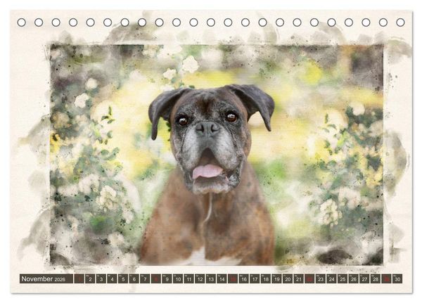 Produktbild: Boxer Photo&Kunst (Tischkalender 2026 DIN A5 quer), CALVENDO Monatskalender
