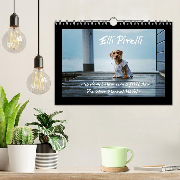 Produktbild: Elli Pirelli... aus dem Leben eines fr&ouml;hlichen Pinscher-Dackel-M&auml;dels (Wandkalender 2026 DIN A4 quer), CALVENDO Monatskalender