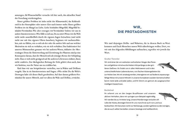 Produktbild: Wir Wale