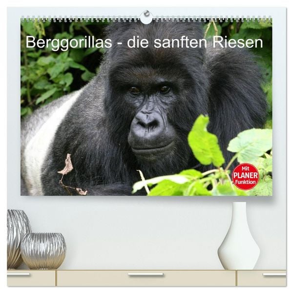 Produktbild: Berggorillas - die sanften Riesen (hochwertiger Premium Wandkalender 2026 DIN A2 quer), Kunstdruck in Hochglanz