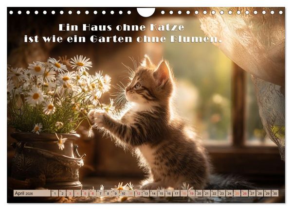 Produktbild: Miau-velous Pfotenpoesie (Wandkalender 2026 DIN A4 quer), CALVENDO Monatskalender