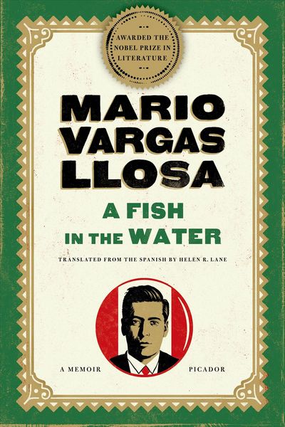 Produktbild: A Fish in the Water