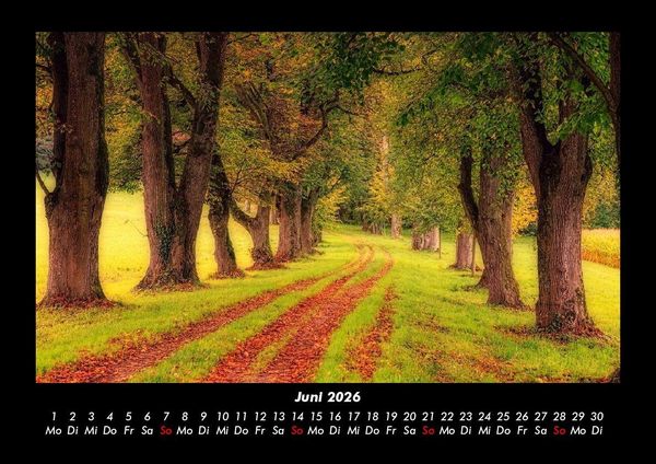 Produktbild: Bilder der Natur 2026 Fotokalender DIN A3