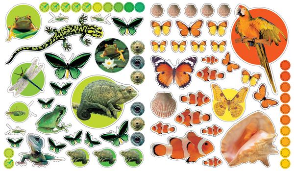 Produktbild: EyeLike Stickers: Animals