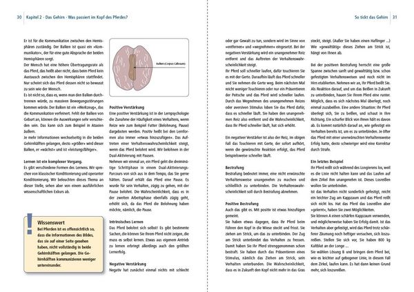 Produktbild: Dual-Aktivierung geritten