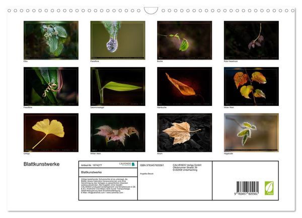 Produktbild: Blattkunstwerke (Wandkalender 2026 DIN A3 quer), CALVENDO Monatskalender