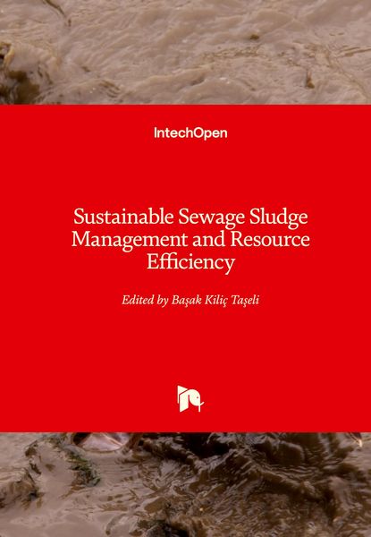 Produktbild: Sustainable Sewage Sludge Management and Resource Efficiency
