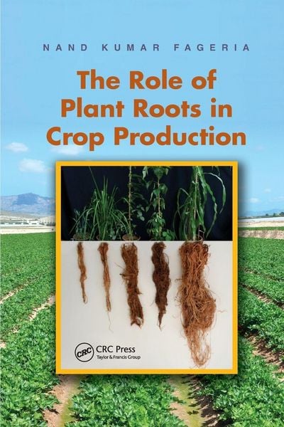 Produktbild: The Role of Plant Roots in Crop Production