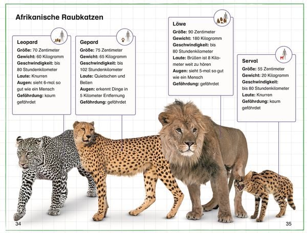 Produktbild: SUPERLESER! Annas Safari-Tagebuch