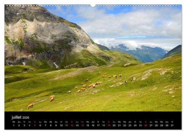 Produktbild: Couleurs Pyr&eacute;n&eacute;es (Calendrier mural 2026 DIN A2 vertical) calendrier de bureau
