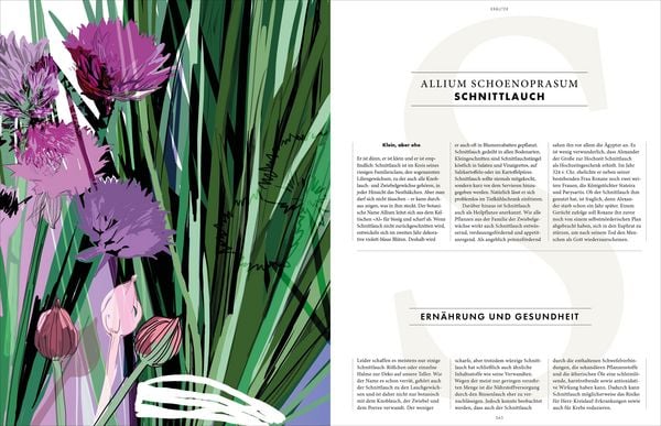Produktbild: Das Wesentliche: Die wichtigsten Kr&auml;uter und Gew&uuml;rze