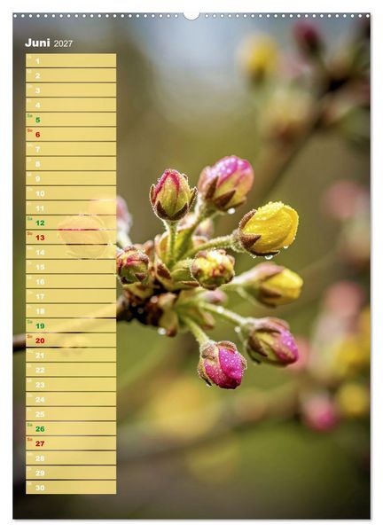 Produktbild: Bunte Farben der Natur (hochwertiger Premium Wandkalender 2027 DIN A2 hoch), Kunstdruck in Hochglanz