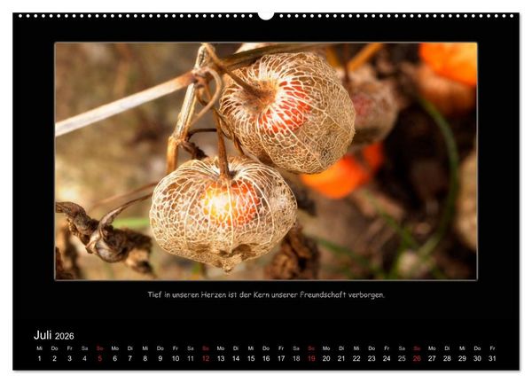 Produktbild: Freundschaft (Wandkalender 2026 DIN A2 quer), CALVENDO Monatskalender
