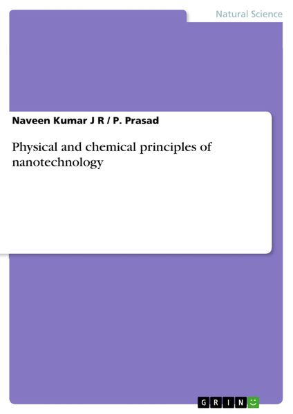 Produktbild: Physical and chemical principles of nanotechnology