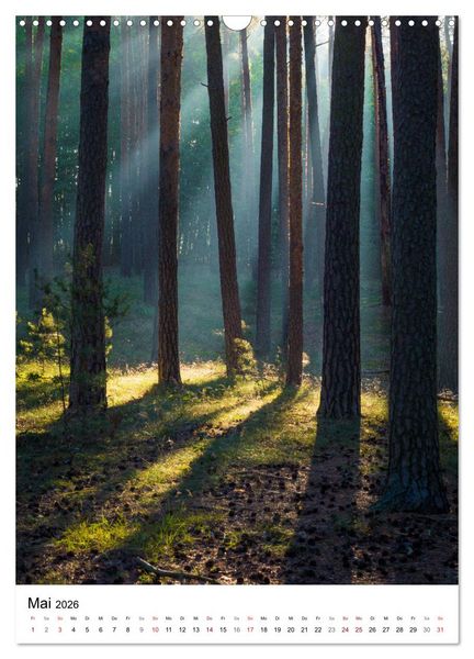Produktbild: Der Harz - Malerische Orte (Wandkalender 2026 DIN A3 hoch), CALVENDO Monatskalender