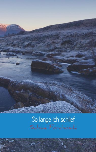 Produktbild: So lange ich schlief