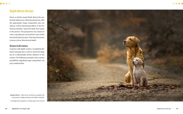 Produktbild: Dog Photography - Shooting with Bow "Wow" Effect