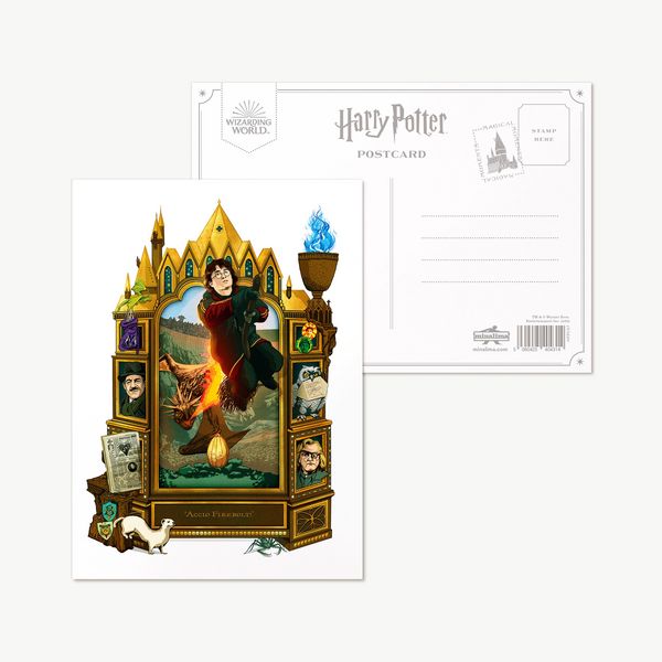 Produktbild: Magische Momente: 'Accio Firebolt!' Postkarte