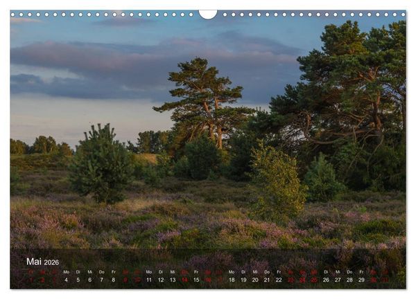 Produktbild: Insel Hiddensee - Wildromantisch unber&uuml;hrt (Wandkalender 2026 DIN A3 quer), CALVENDO Monatskalender