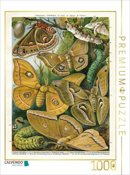Produktbild: CALVENDO Puzzle Seidenspinner, K&uuml;nstler: E. Morin (1824-1882) | 1000 Teile Lege-Gr&ouml;&szlig;e 64x48cm Foto-Puzzle f&uuml;r gl&uuml;ckliche Stunden