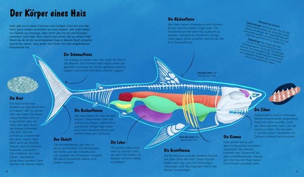 Produktbild: Die Welt der Haie