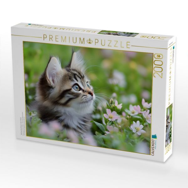 Produktbild: CALVENDO Puzzle Vertr&auml;umte Katze in der Wiese | 2000 Teile Lege-Gr&ouml;&szlig;e 90x67cm Foto-Puzzle f&uuml;r gl&uuml;ckliche Stunden