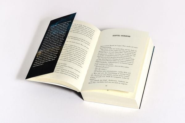 Produktbild: Die Besucherin