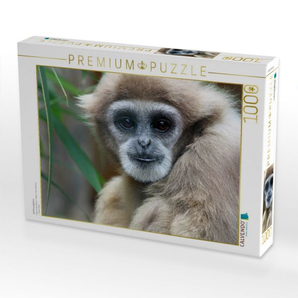 Produktbild: CALVENDO Puzzle Wei&szlig;handgibbon | 1000 Teile Lege-Gr&ouml;&szlig;e 64x48cm Foto-Puzzle f&uuml;r gl&uuml;ckliche Stunden