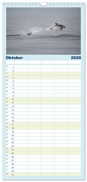 Produktbild: Familienplaner 2026 - Die Wale von Andenes mit 5 Spalten (Wandkalender, 21 x 45 cm) CALVENDO