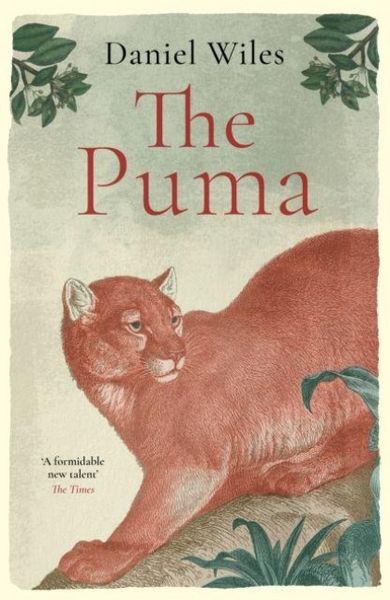 Produktbild: The Puma