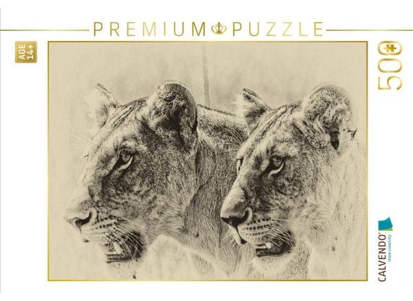 CALVENDO Puzzle Safari - auf Katzensuche | 500 Teile Lege-Größe 48 × 36 cm Foto-Puzzle für Erwachsene