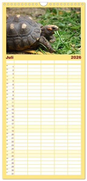 Produktbild: Familienplaner 2026 - Schildkr&ouml;ten - Gepanzerte Urzeitwesen mit 5 Spalten (Wandkalender, 21 x 45 cm) CALVENDO