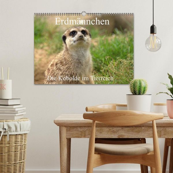 Produktbild: Erdm&auml;nnchen - Die Kobolde im Tierreich (Wandkalender 2026 DIN A3 quer), CALVENDO Monatskalender