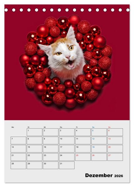 Produktbild: Crazy Catz. (Tischkalender 2026 DIN A5 hoch), CALVENDO Monatskalender