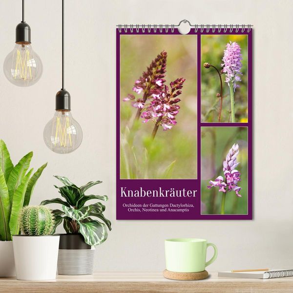 Produktbild: Knabenkr&auml;uter (Wandkalender 2026 DIN A4 hoch), CALVENDO Monatskalender