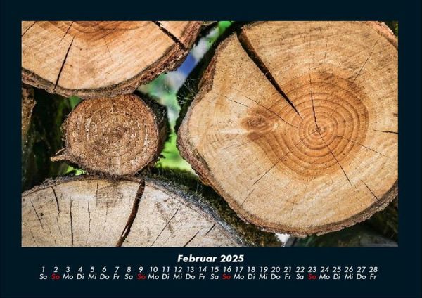 Produktbild: Waldzauber 2025 Fotokalender DIN A4