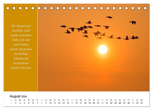 Produktbild: Tiere und feiner Humor (Tischkalender 2026 DIN A5 quer), CALVENDO Monatskalender