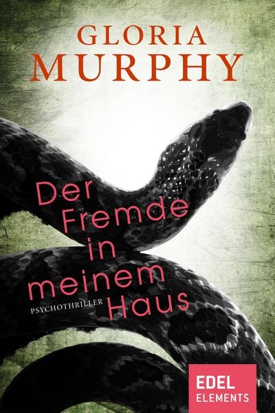 Produktbild: Der Fremde in meinem Haus