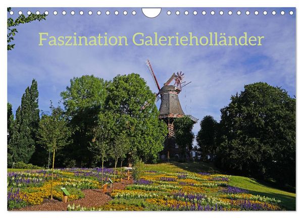 Produktbild: Faszination Galerieholl&auml;nder (Wandkalender 2026 DIN A4 quer), CALVENDO Monatskalender