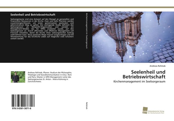 Seelenheil und Betriebswirtschaft, Taschenbuch von Andreas Rellstab, Südwestdeutscher Verlag für Hochschulschriften, 9783838138718