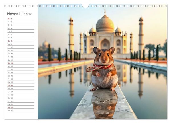 Produktbild: Nagertrip - Ein kleiner Hamster entdeckt die gro&szlig;e Welt (Wandkalender 2026 DIN A3 quer), CALVENDO Monatskalender