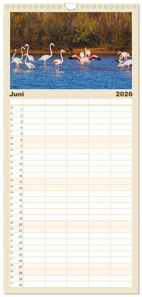 Produktbild: Familienplaner 2026 - Flamingo Zauber mit 5 Spalten (Wandkalender, 21 x 45 cm) CALVENDO