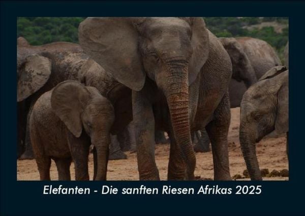 Produktbild: Elefanten - Die sanften Riesen Afrikas 2025 Fotokalender DIN A5